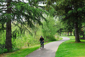 Fanno Creek trail