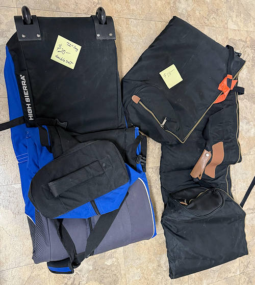 Ski Bags