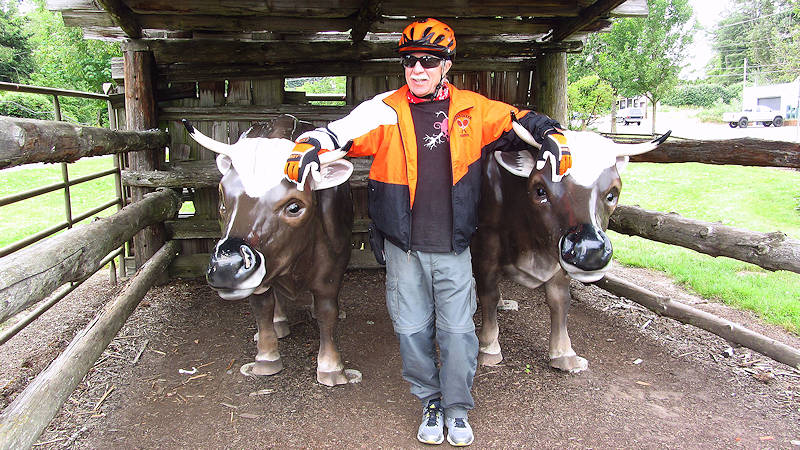 Harry and Oxen