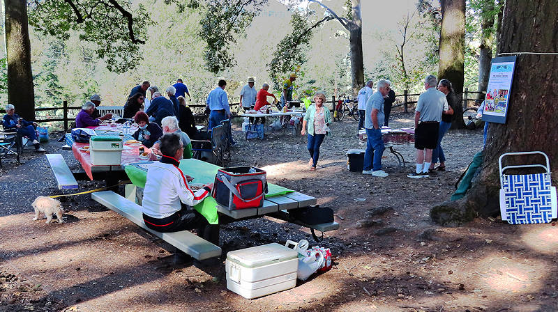 Picnic