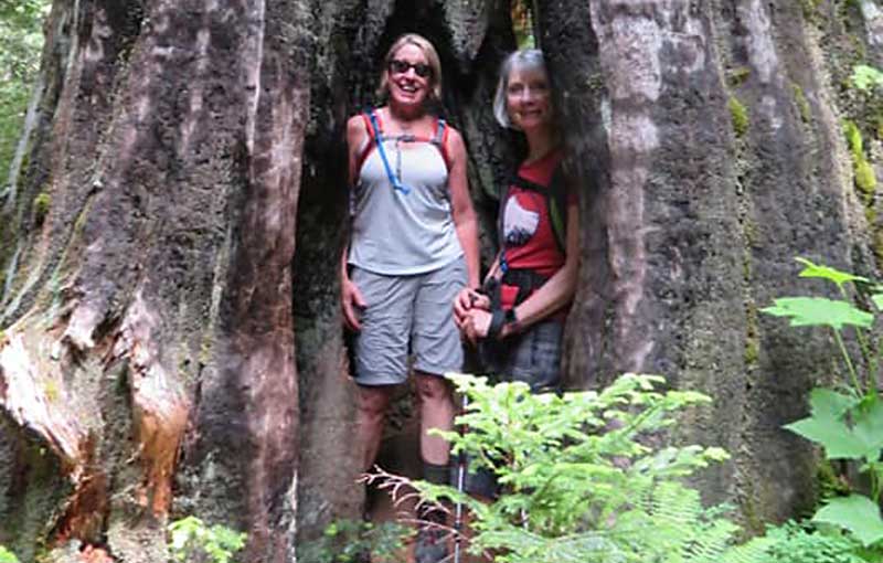 Burnt Lake hollow tree