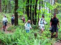 Hiking