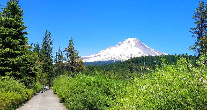 Summit Meadows