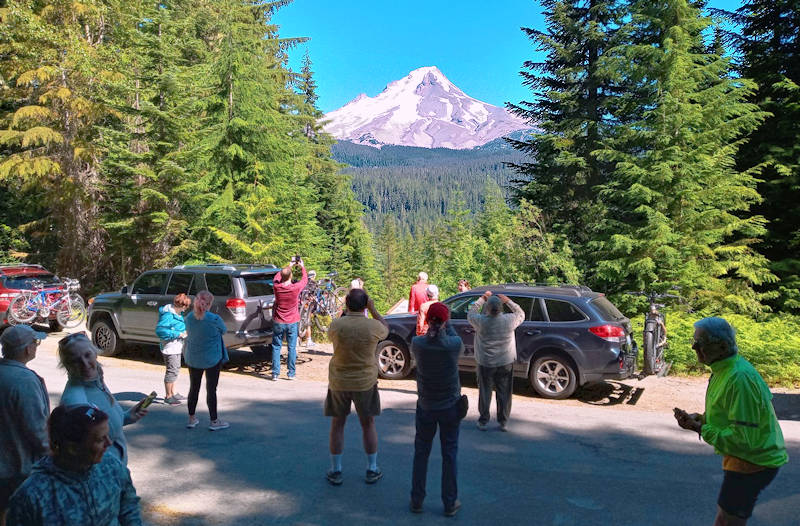 Mt. Hood view