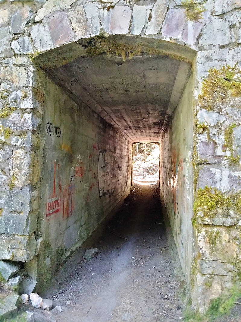 Horse tunnel