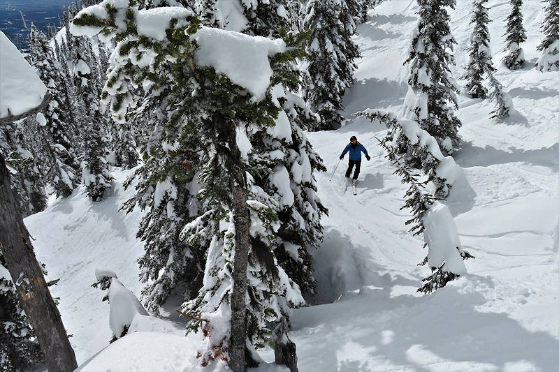 Mark in trees