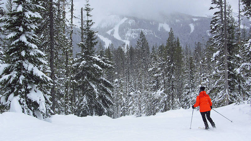 View of Skibowl