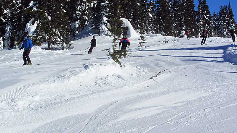 Glade Trail island