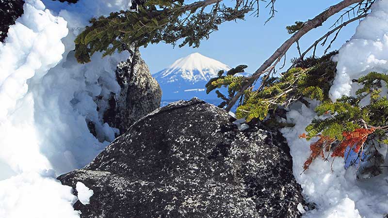 View of Mt. McLaughlin