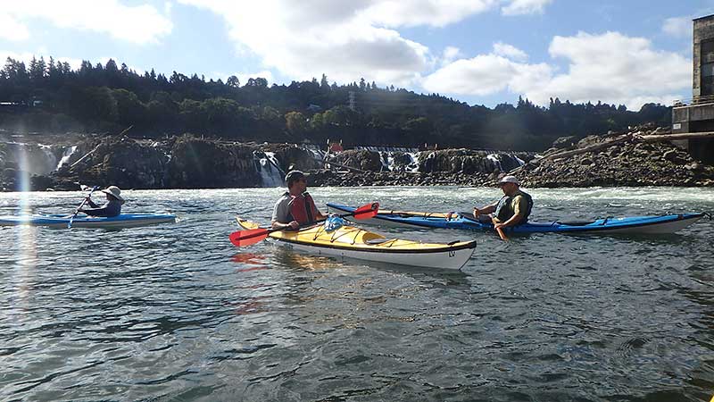 Kayakers