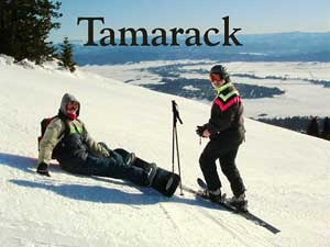 Tamarack