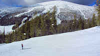 Baldy Mountain